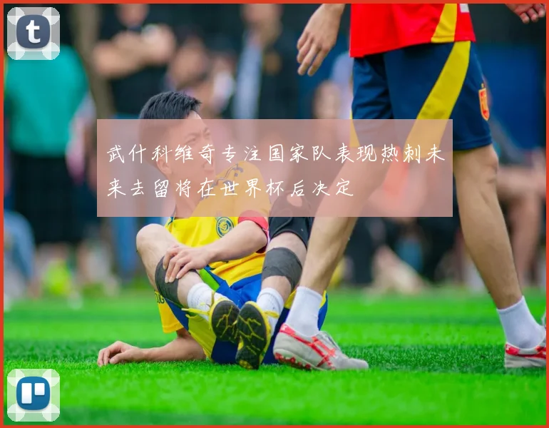 武什科维奇专注国家队表现热刺未来去留将在世界杯后决定