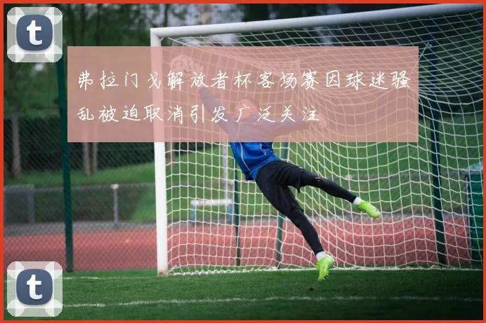 弗拉门戈解放者杯客场赛因球迷骚乱被迫取消引发广泛关注